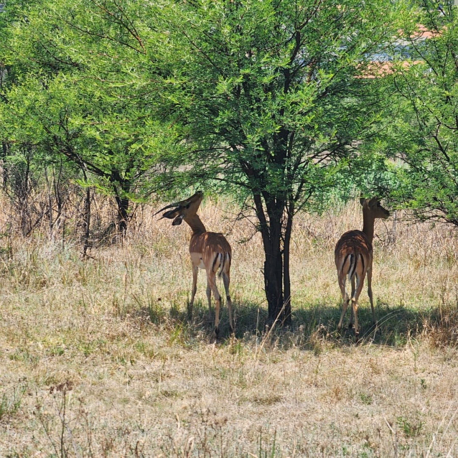 Commercial Property for Sale in La Camargue Private Country Estate North West
